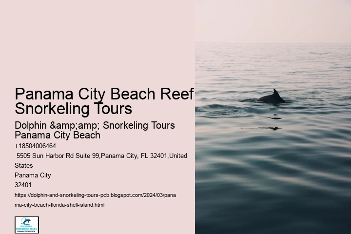 Panama City Beach Reef Snorkeling Tours