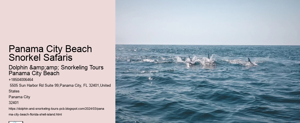 Panama City Beach Snorkel Safaris
