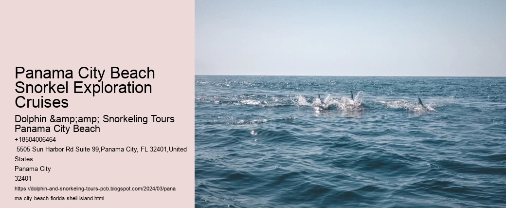 Panama City Beach Snorkel Exploration Cruises