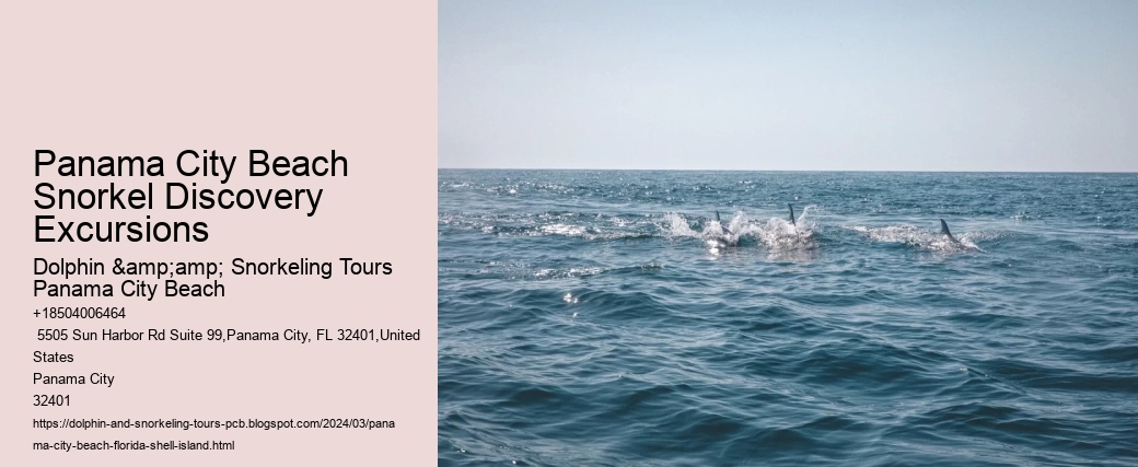 Panama City Beach Snorkel Discovery Excursions