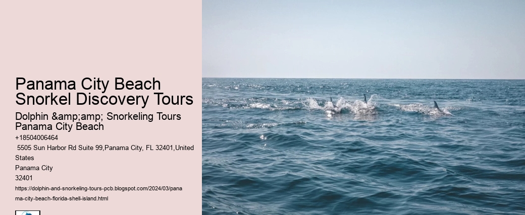 Panama City Beach Snorkel Discovery Tours