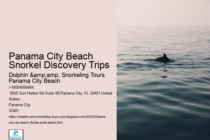 Panama City Beach Snorkel Discovery Trips