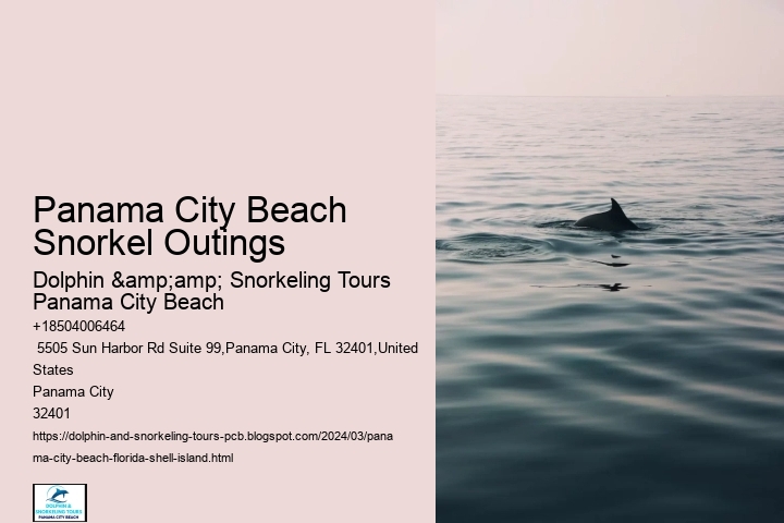 Panama City Beach Snorkel Outings