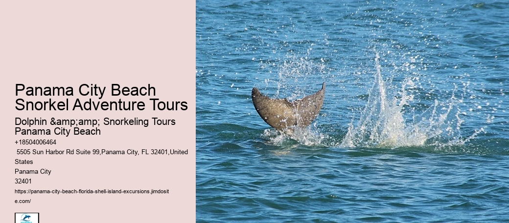 Panama City Beach Snorkeling Tours Lahaina