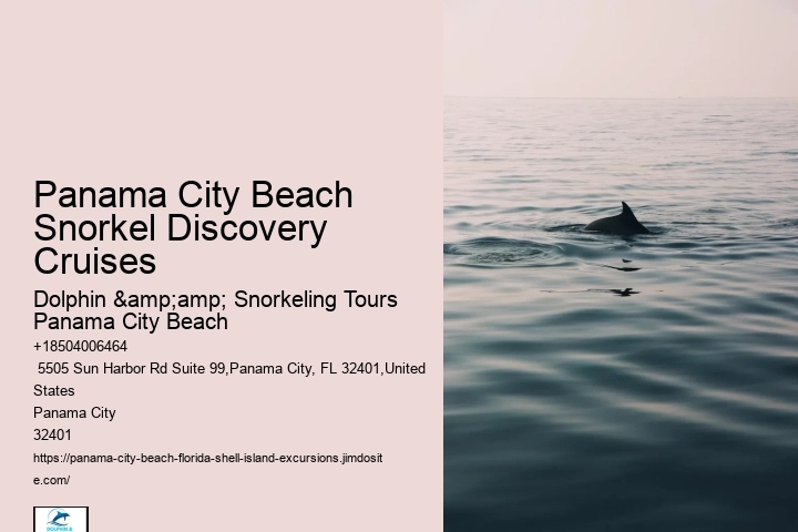 Panama City Beach Is One Of The Top Destinations For Snorkeling In The Country