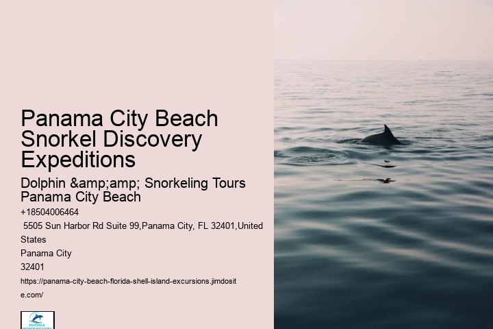 Snorkeling Adventures Departing From Panama City Beach