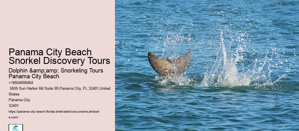 Panama City Beach Snorkeling Tours Caye Caulker