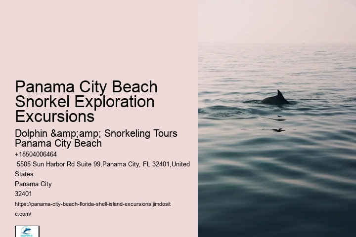 Panama City Beach Snorkeling Tours Eco