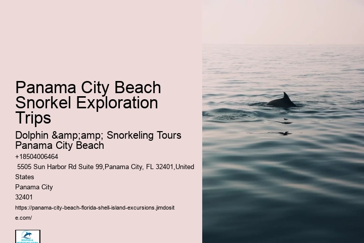 Panama City Beach Snorkeling Tour One Day