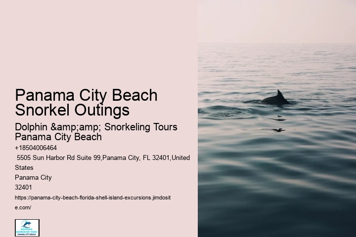 Are Panama City Beach Snorkeling Tours Suitable For Beginners