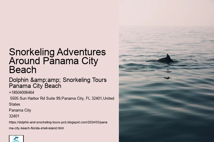 Snorkeling Adventures Around Panama City Beach