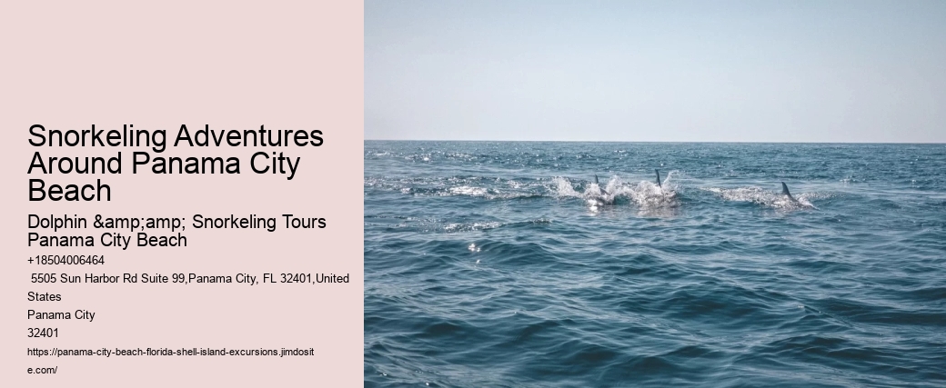 Dolphin And Snorkeling Tours In Panama City Beach Beach