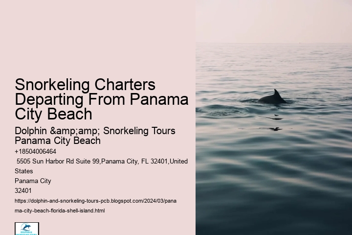 Snorkeling Charters Departing From Panama City Beach