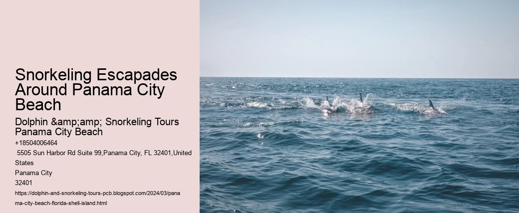 Snorkeling Escapades Around Panama City Beach