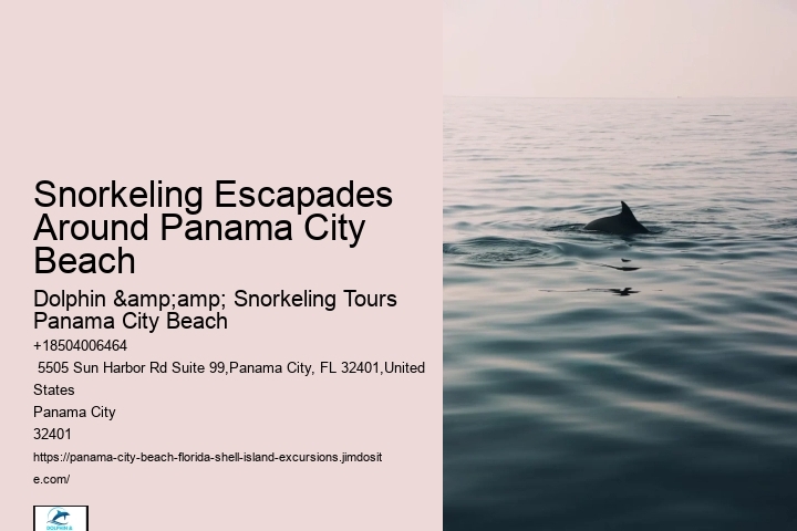 Best Snorkeling Tours In Destin