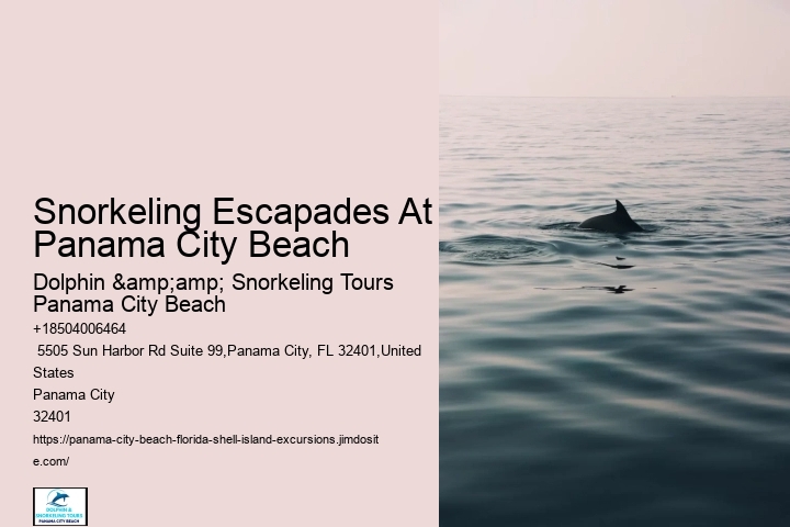 Panama City Beach Reef Snorkeling Tours