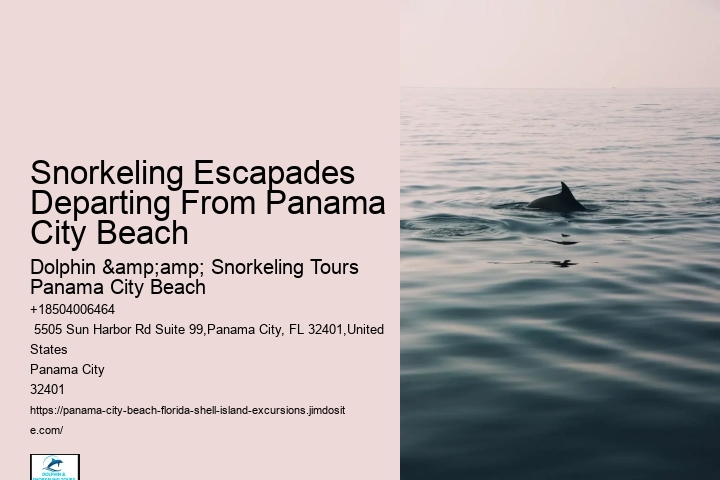 Panama City Beach Snorkeling Tours Quotes