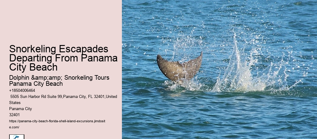 Panama City Beach Snorkeling Tours 320