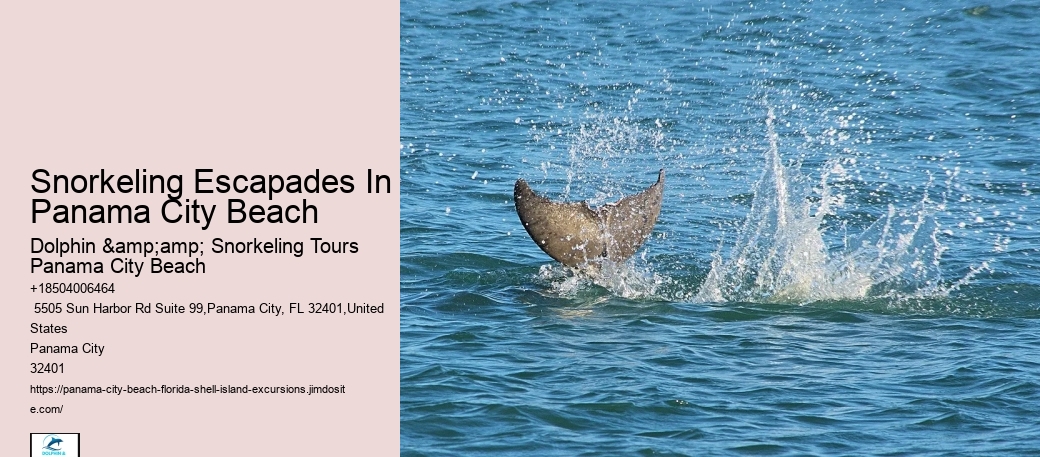 Can You Take Shells From Shell Island