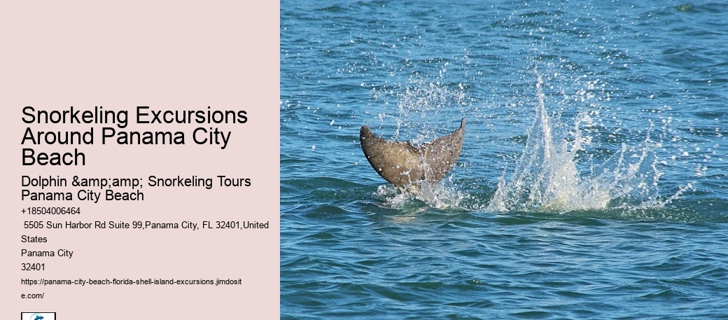 Panama City Beach Snorkeling Tours My