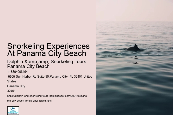 Snorkeling Experiences At Panama City Beach
