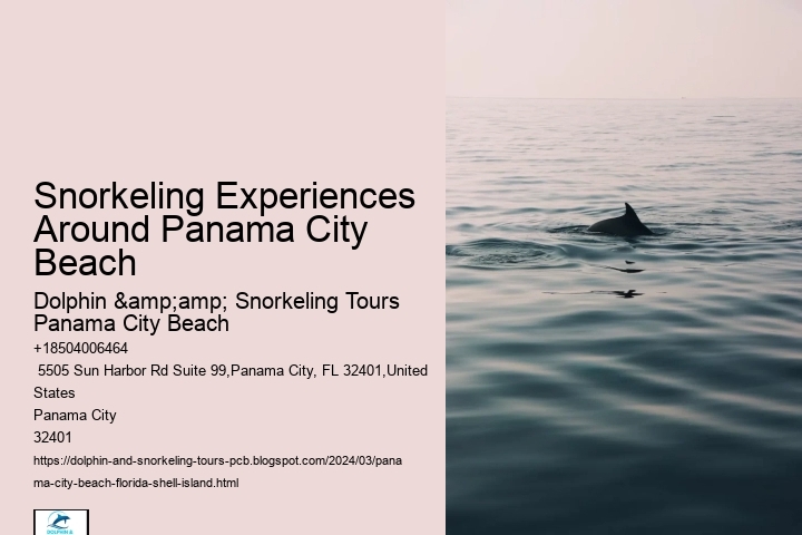 Snorkeling Experiences Around Panama City Beach