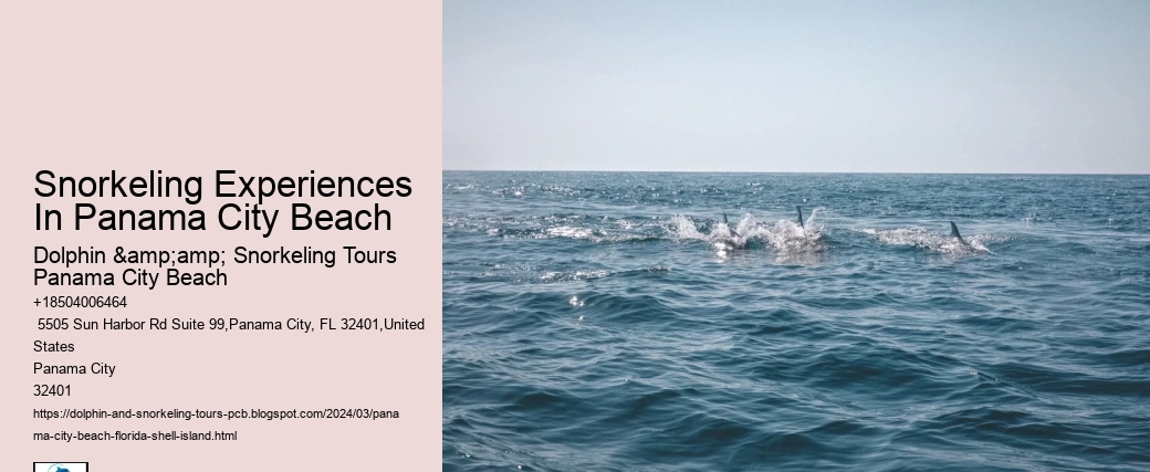 Snorkeling Experiences In Panama City Beach