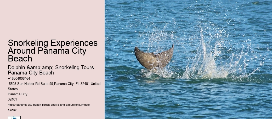 Panama City Beach Snorkeling Tours 9/11