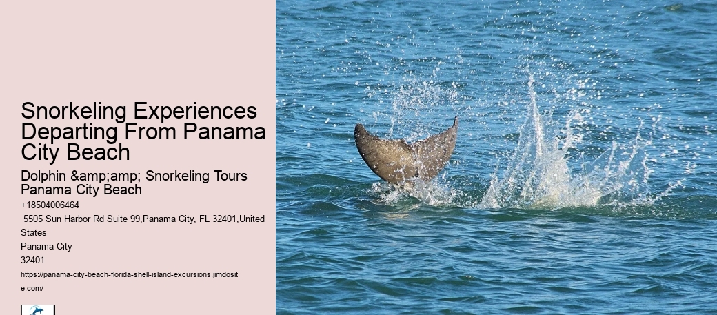 Panama City Beach Snorkeling Tours Zam