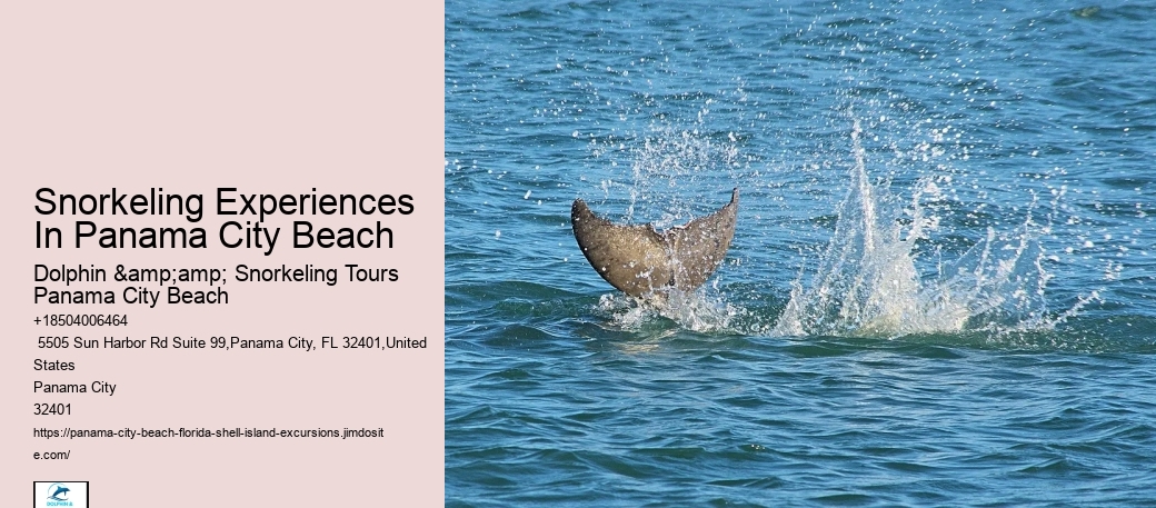 Panama City Beach Snorkel Exploration Adventures