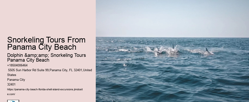 Snorkel Exploration Cruises In Panama City Beach