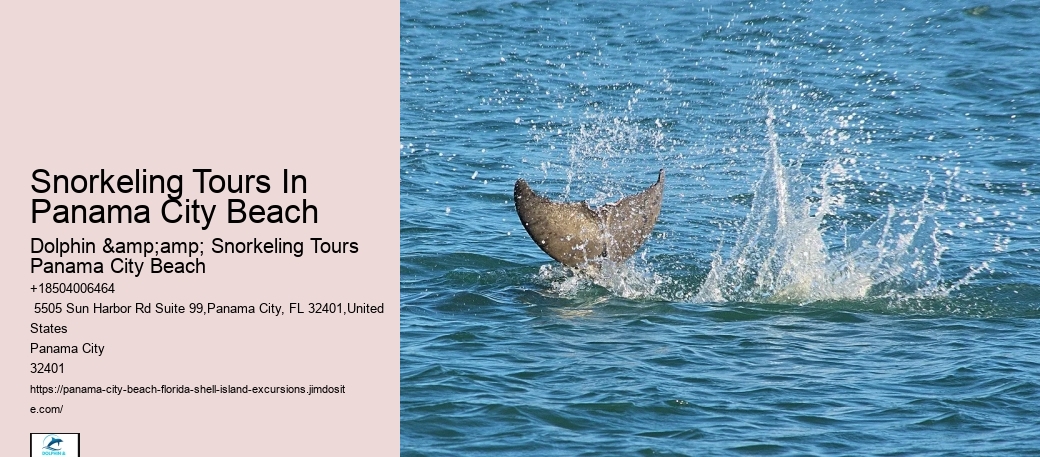 Panama City Beach Snorkel Exploration Trips