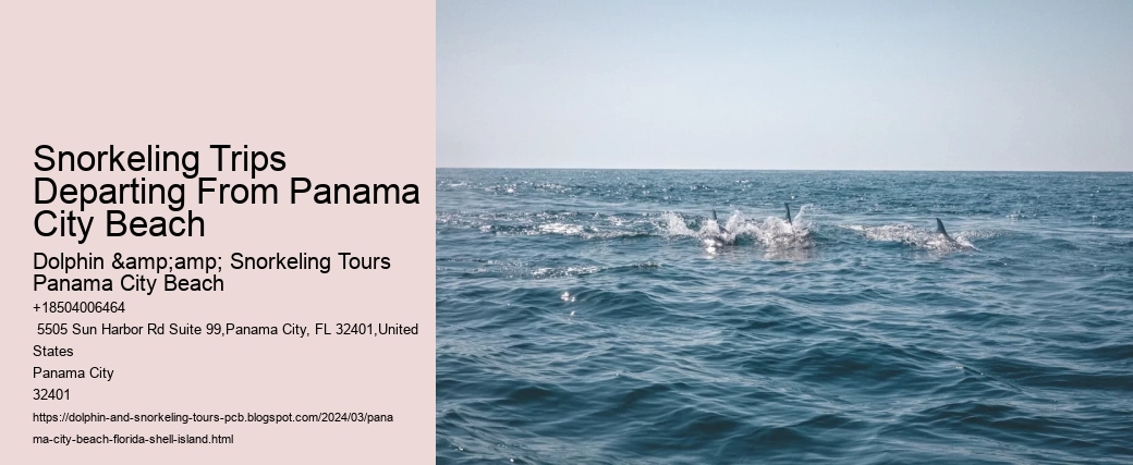 Snorkeling Trips Departing From Panama City Beach