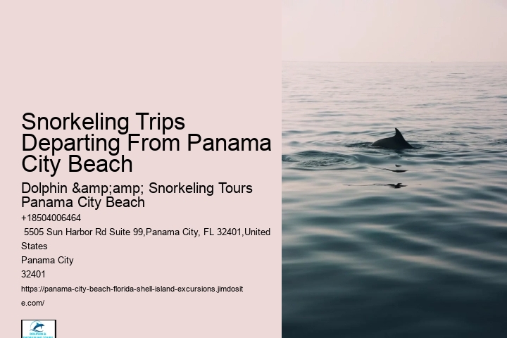 Panama City Beach Snorkel Adventure Cruises