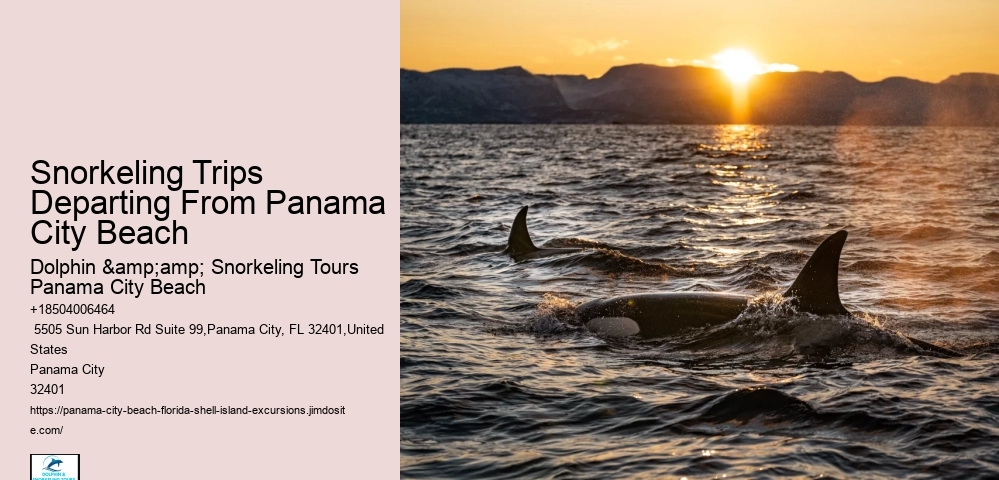 Panama City Beach Snorkeling Tours Agency
