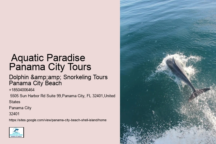  Shell Island Dolphin Tours Panama City Beach Fl