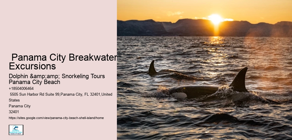  Coastal Tranquility Panama City Beach Tours