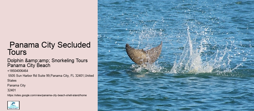  Panama City Hidden Cove Adventures