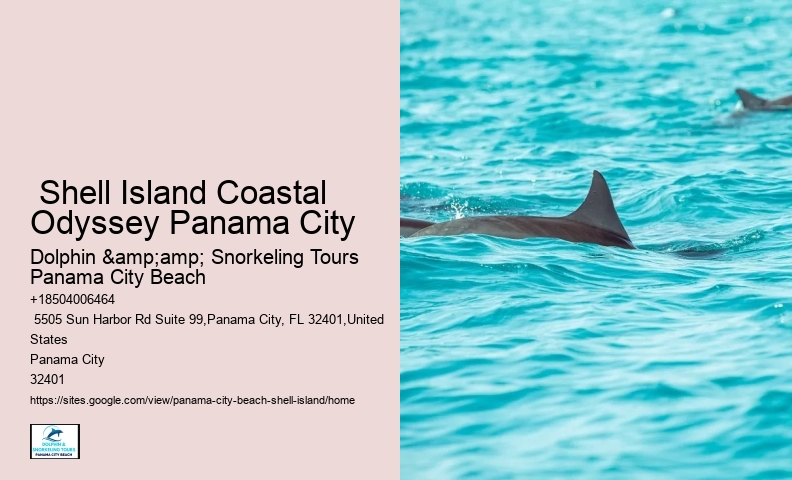  Shell Island Boat Tours Panama City Beach Fl