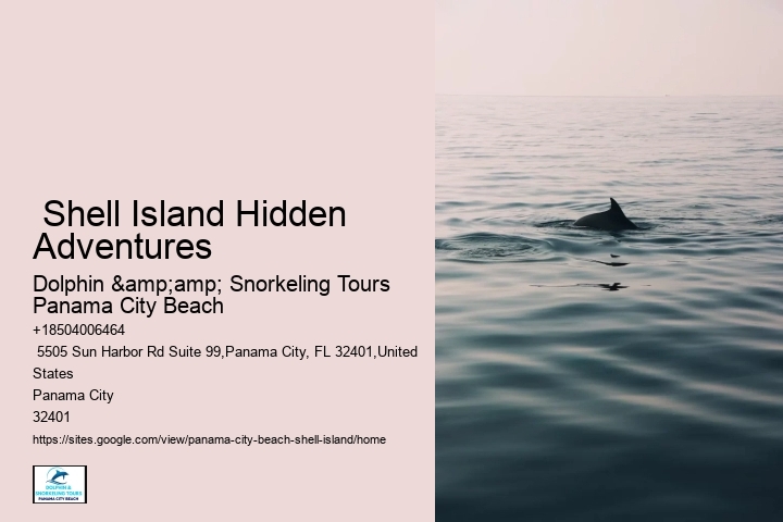  Shell Island Hidden Adventures