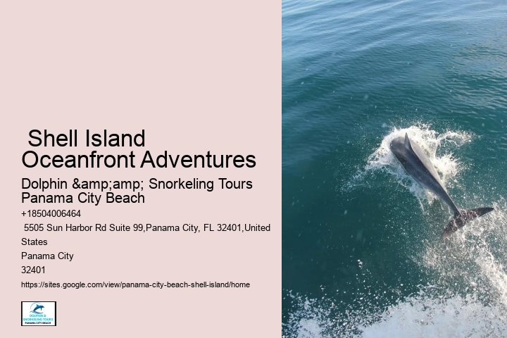  Shell Island Wildlife Tours FL