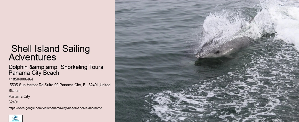 How Long Is Boat Ride To Shell Island