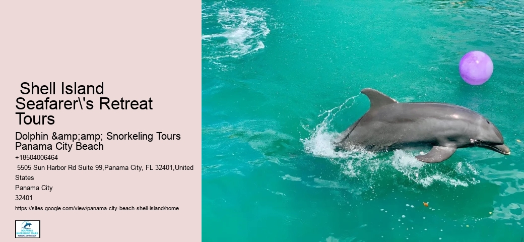  Shell Island Dolphin
