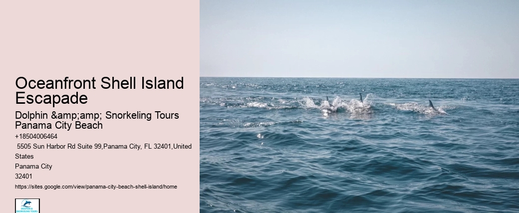  Shell Island Shuttle Prices