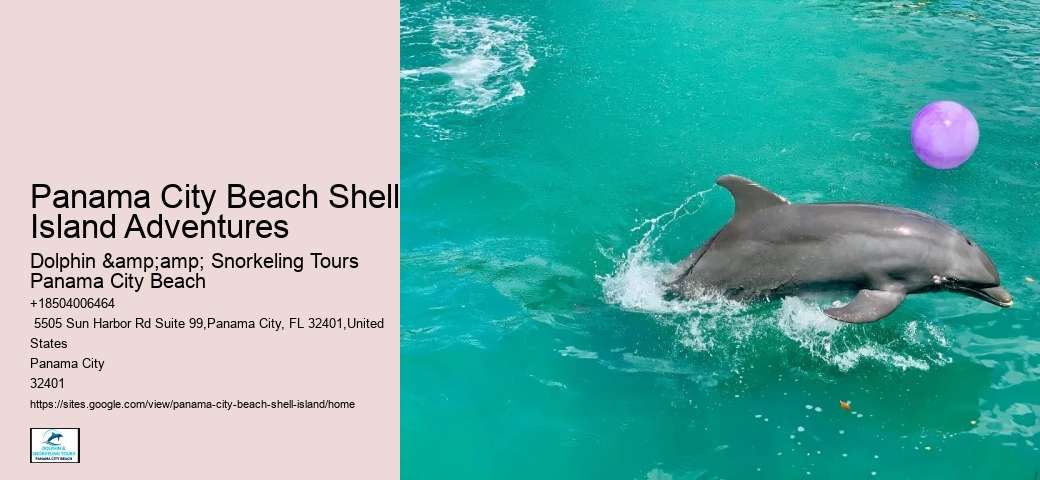  Loggerhead Turtles