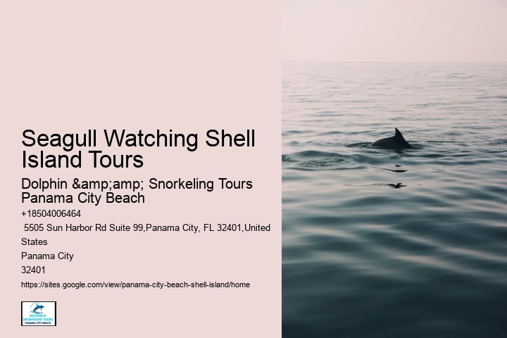  Shell Island Florida- Complete Visitor's Guide