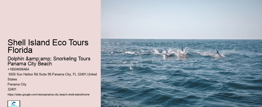 Shell Island Eco Tours Florida