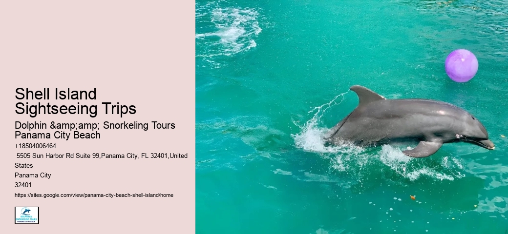  Dolphin Tours Adventures