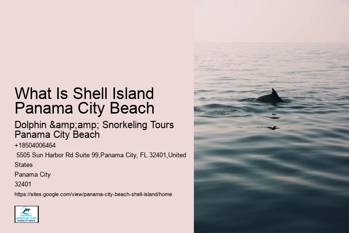 What Is Shell Island Panama City Beach