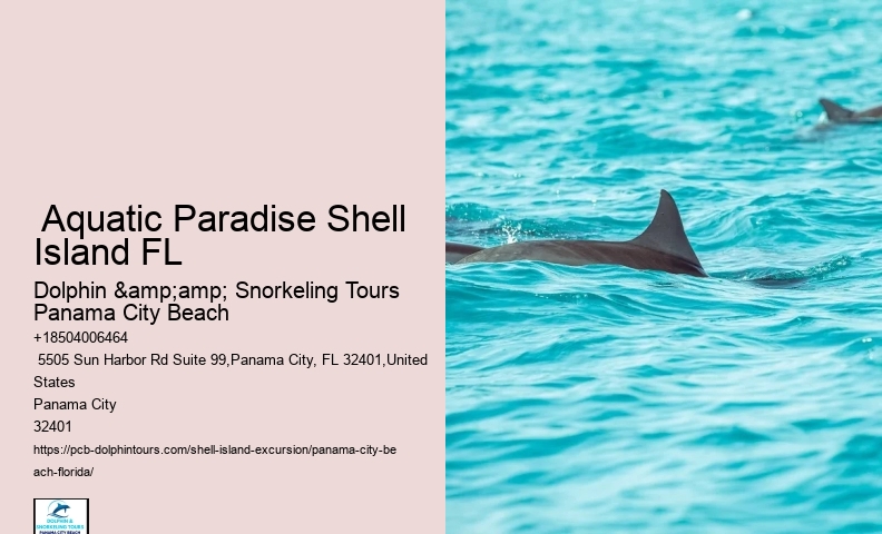  What Is Shell Island Panama City Beach